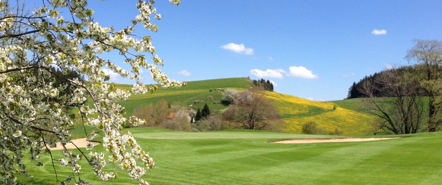 Golfen - Schnupperkurs